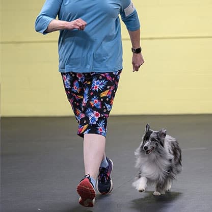 obedience run thru at cabtc