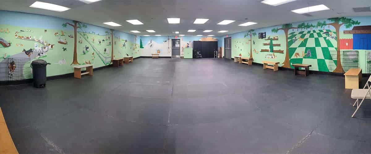 the puppy room at CABTC